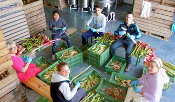 Team der Beerenbauern