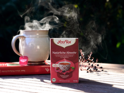 KI generiert: Auf dem Bild ist eine Packung mit Bio-Mini-Frühlingsrollen im China-Stil abgebildet, die auf frischem grünen Gemüse liegt. Die Frühlingsrollen sind als vegan und biologisch gekennzeichnet.