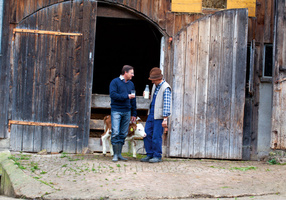 Holle Baby Food GmbH