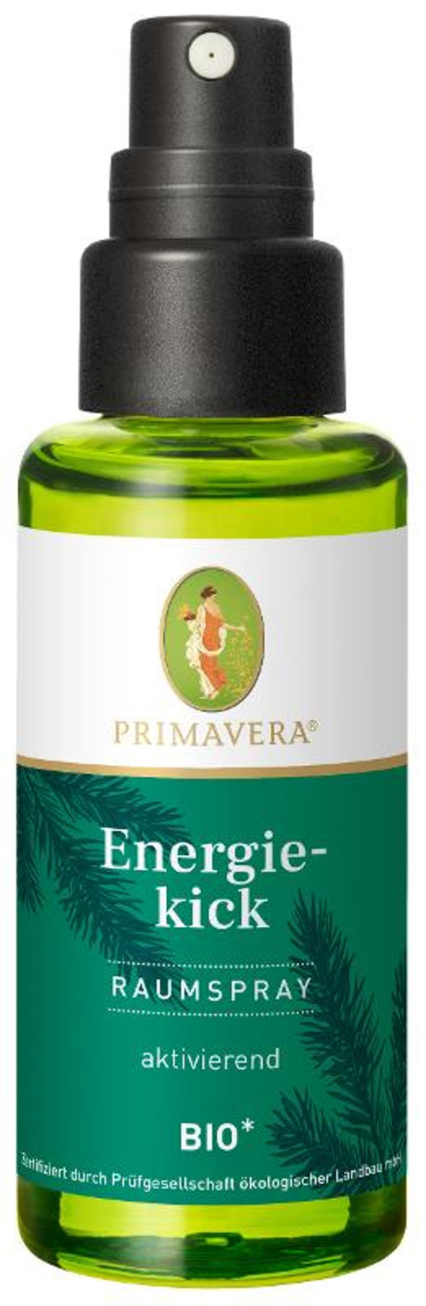 Produktfoto zu Primavera Energiekick Raumspray 50ml