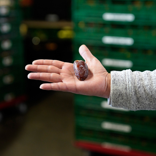 Dattel in einer Hand