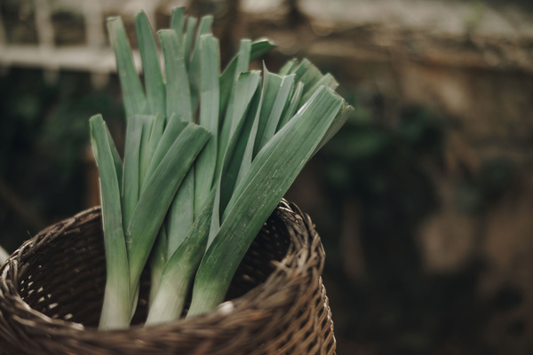 KI generiert: Das Bild zeigt ein Stück Apfelkuchen auf einem Teller, daneben liegt eine Gabel. Der Fokus liegt auf der knusprigen Kruste und der saftigen Füllung des Kuchens.