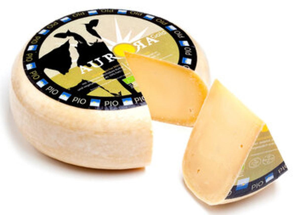 Produktfoto zu Gouda gold alt 50%