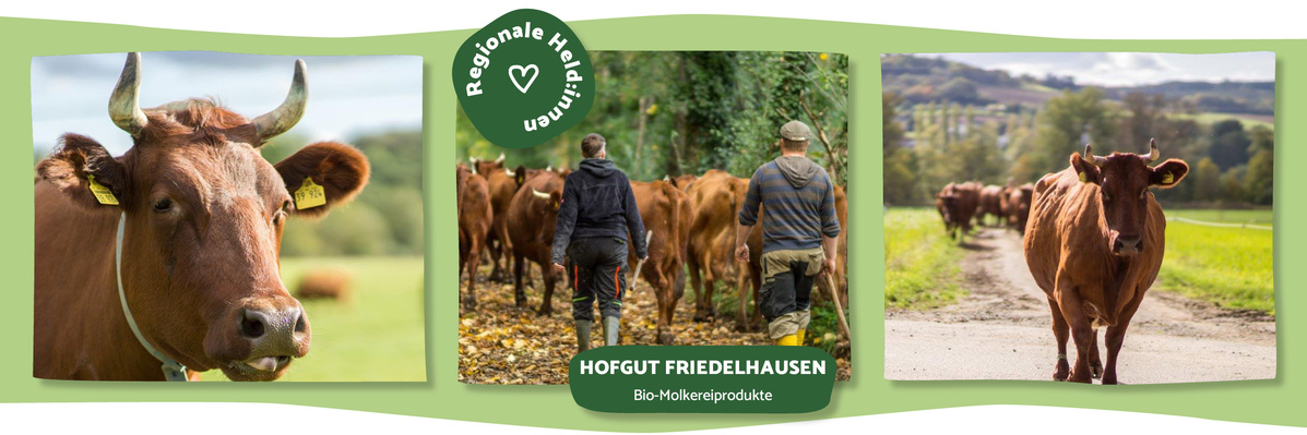 Hofgut Friedelhausen