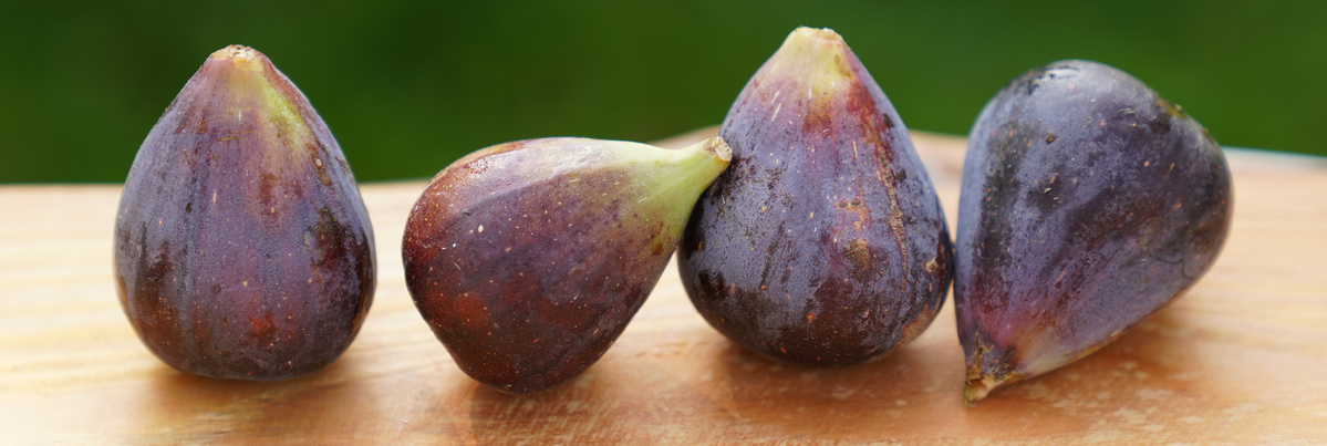 Warenkunde Obst und Gemüse in der Ökokiste