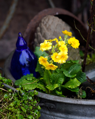 KI generiert: Gelbe Blumen in einem Zinktopf neben einem blauen Glasobjekt.