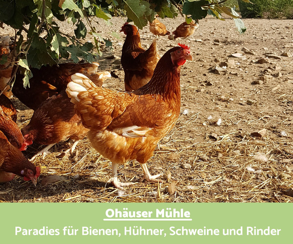 Erzeuger Ohäuser Mühle