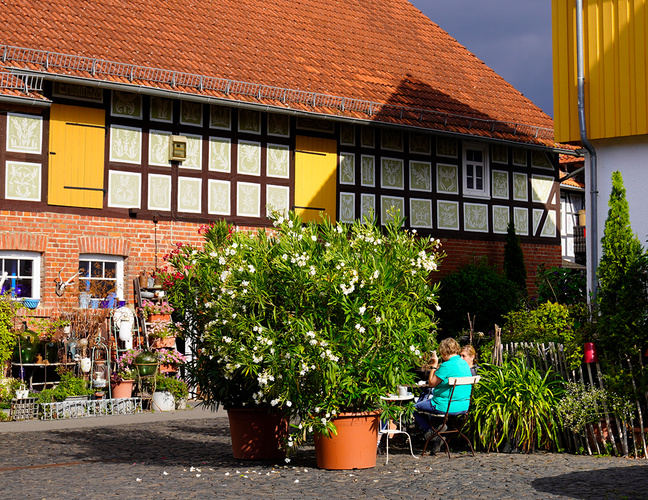 KI generiert: Ein Fachwerkhaus im Hintergrund, Personen sitzen draußen, umgeben von Pflanzen.