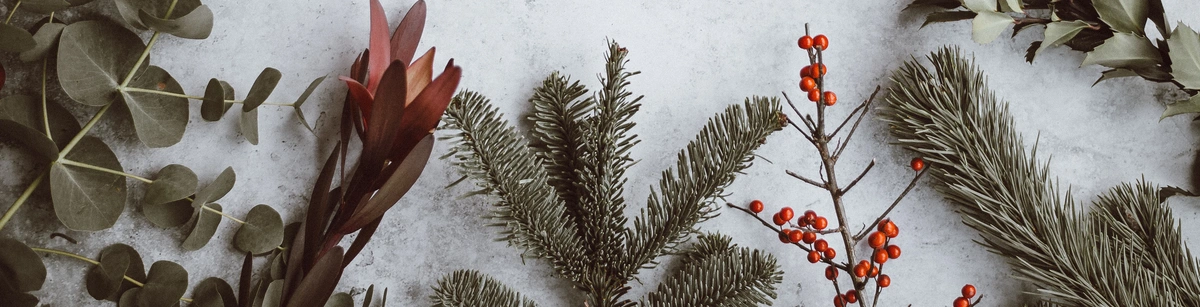 KI generiert: Das Bild zeigt einen Rahmen aus verschiedenen grünen Zweigen und roten Beeren auf einem hellen Hintergrund. Der Hauptinhalt sind die winterlichen Pflanzenarrangements, die eine festliche Atmosphäre schaffen.