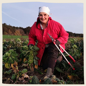 KI generiert: Eine Person in roter Jacke und mit Kopftuch kniet in einem Gemüsefeld und hält Rosenkohl. Sie hat eine Gartenschere in der Hand und lächelt in die Kamera.