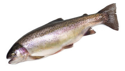 Produktfoto zu Lachsforelle frisch ca. 800g