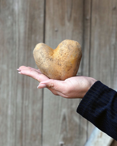 Das Bild zeigt mehrere Personen, die in einer Küche zusammenarbeiten, vermutlich bei einem Kochkurs oder einer Gruppenkochaktivität. Sie tragen Schürzen und sind mit der Zubereitung von Zutaten beschäftigt.