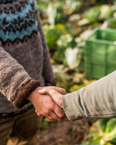 Das Bild zeigt mehrere Personen, die in einer Küche zusammenarbeiten, vermutlich bei einem Kochkurs oder einer Gruppenkochaktivität. Sie tragen Schürzen und sind mit der Zubereitung von Zutaten beschäftigt.