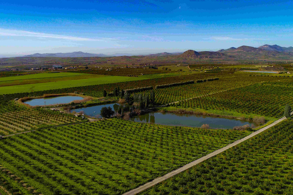 Landschaft bei Arcoria