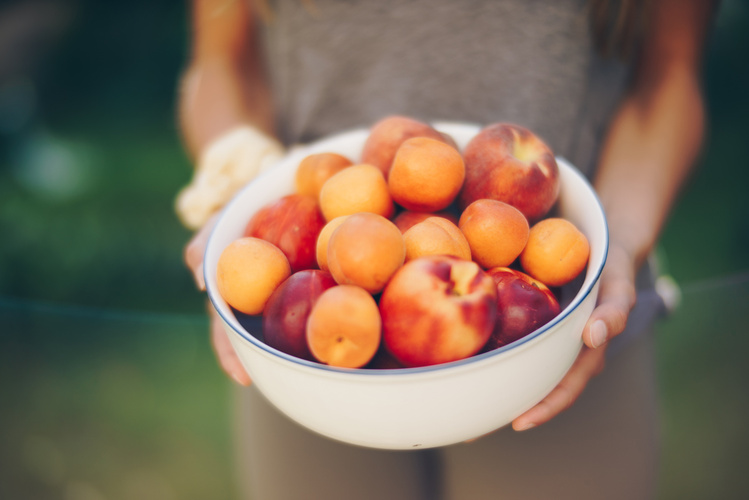 Steinobst in einer Emaille Schale