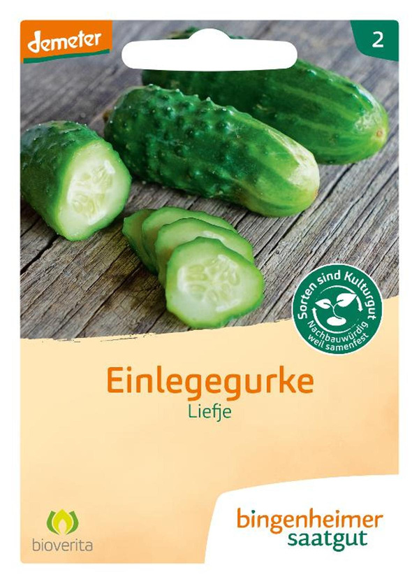 Produktfoto zu Bingenheimer Saatgut Einlegegurke Liefje Samen