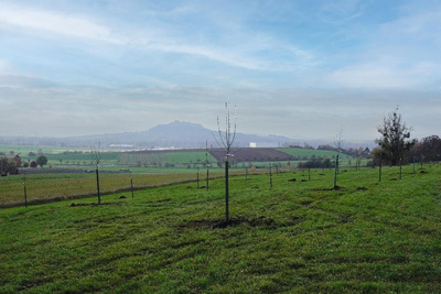 Produktfoto zu Hier findest du mehr Infos zu unserer Streuobstwiese