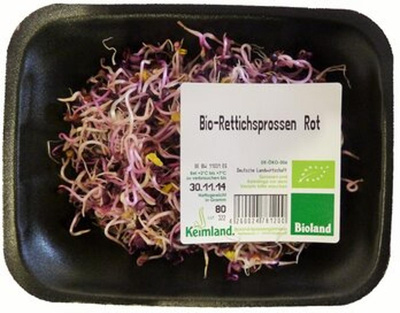 Produktfoto zu Rote Rettichsprossen