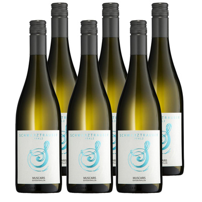 Produktfoto zu Kiste Schwarztrauber Muscaris feinfruchtig 6x0,75L