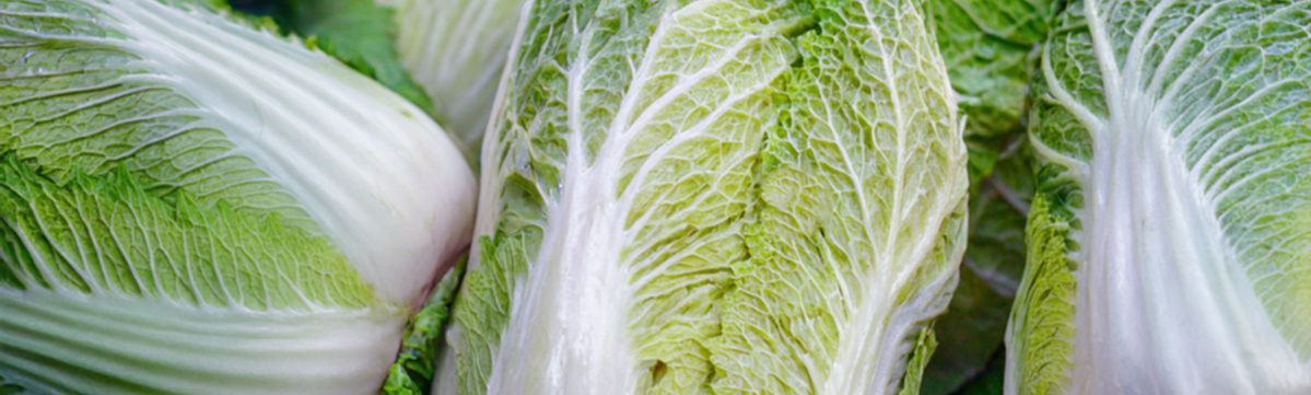 Warenkunde Obst und Gemüse in der Ökokiste