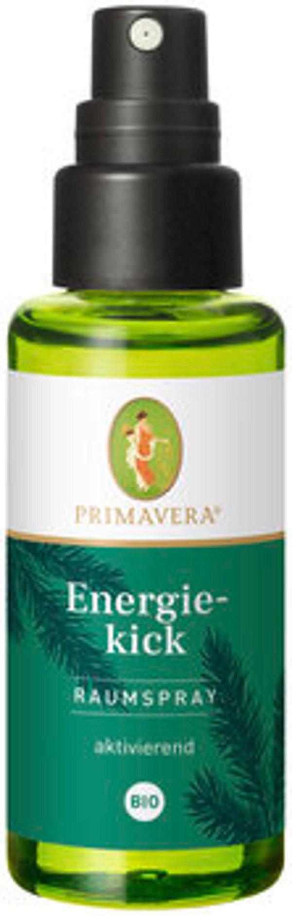 Produktfoto zu Primavera Energiekick Raumspray 50ml