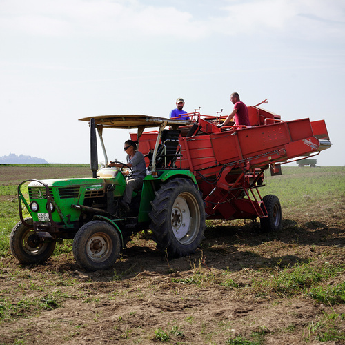 Ein Traktor auf einem Feld bei der Ernte