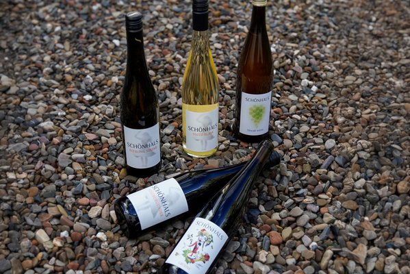 KI generiert: Fünf Weinflaschen auf Kieselsteinen, Etiketten mit "SCHÖNHALS" sichtbar.