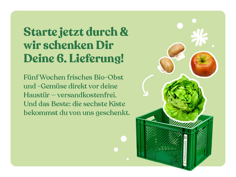 KI-generierte Beschreibung: Hauptinhalt: Werbeaktion für Bio-Obst und -Gemüse-Lieferung. Text: "Starte jetzt durch & wir schenken Dir Deine 6. Lieferung!"