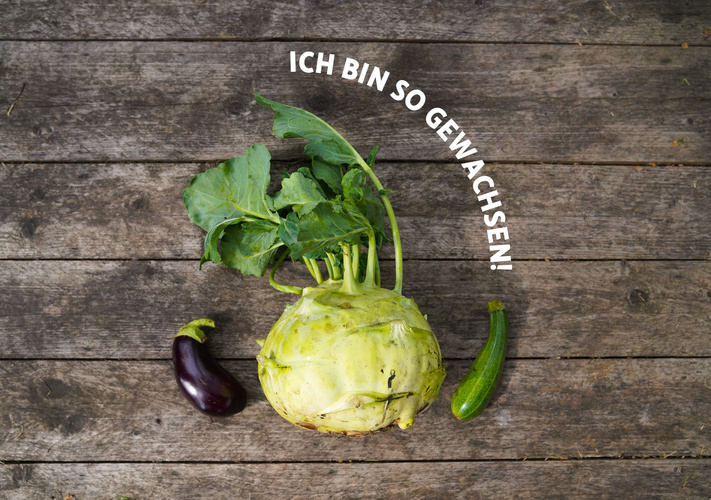 Riesen Superschmelzkohlrabi winzige Aubergine und Zucchini