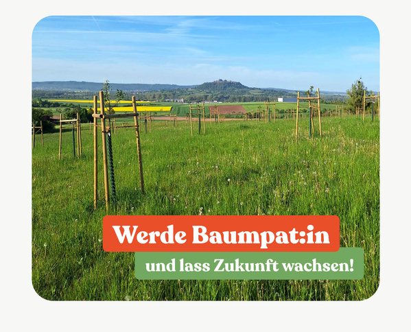 KI generiert: Eine grüne Wiese mit jungen Bäumen. Text: "Werde Baumpat:in und lass Zukunft wachsen!"