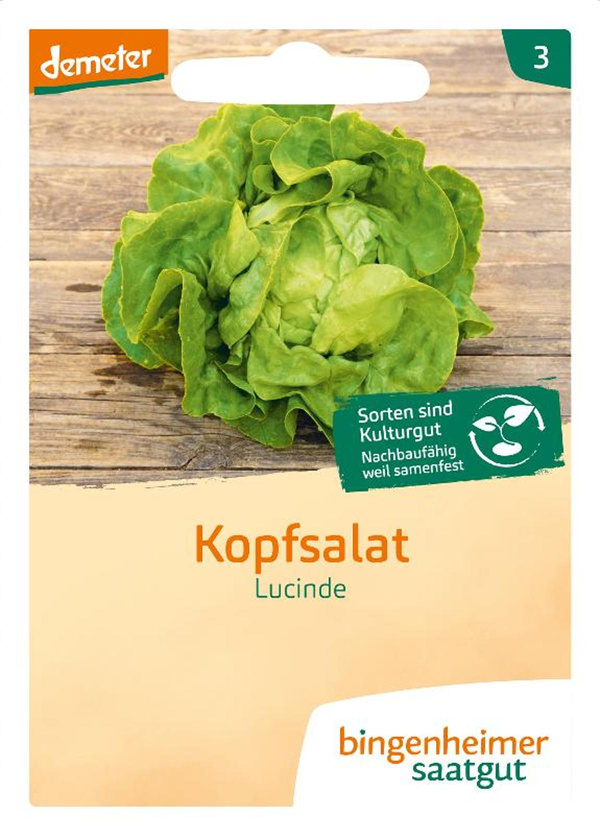 Produktfoto zu Bingenheimer Saatgut Kopfsalat Samen