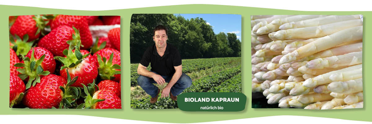 Kombination aus drei Bildern: links Erdbeeren, Mitte Landwirtschaft, rechts Spargel