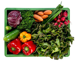 Produktfoto zu Vollsortiment mittel