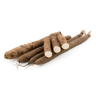 Warenkunde Obst und Gemüse in der Ökokiste