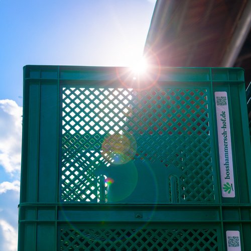 Grüne Kiste vom Boßhammersch Hof im Sonnenschein