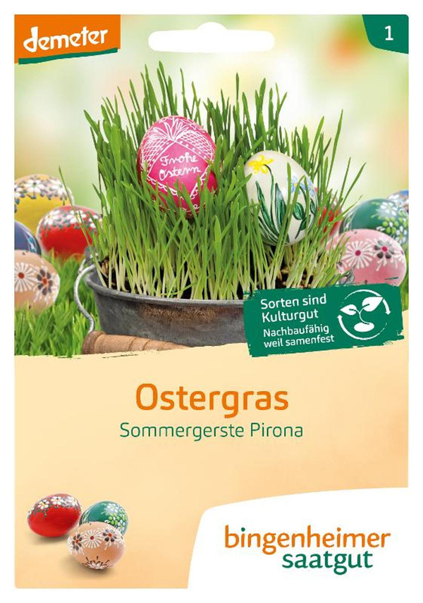 Produktfoto zu Bingenheimer Saatgut Ostergras Samen