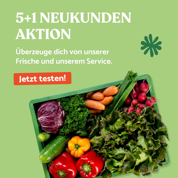 Ökokiste mit Bio-Obst und Gemüse