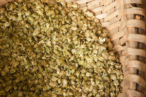 Gerste für die Bierproduktion