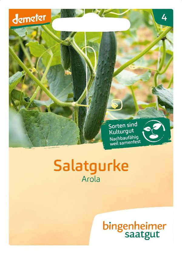 Produktfoto zu Bingenheimer Saatgut Salatgurke Arola Samen