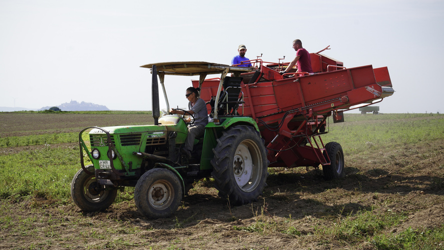 Petra Ritter mit dem Traktor auf dem Acker