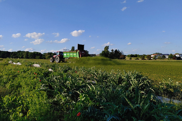 Traktor auf einer Wiese