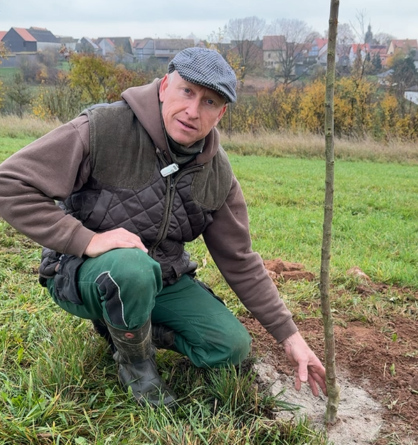 KI generiert: Ein Mann in Arbeitskleidung pflanzt einen jungen Baum auf einem Feld.