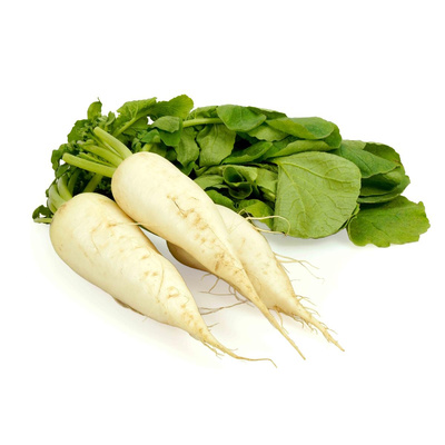 Produktfoto zu Rettich Bund