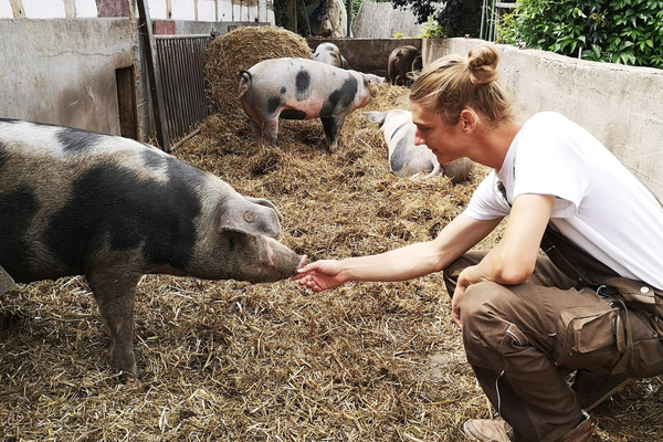 Biohof Groß Schweinestall