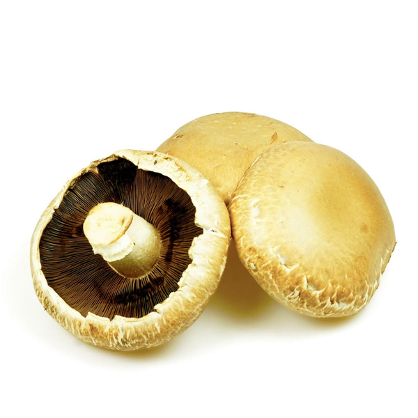Produktfoto zu Portobello Riesenchampignons