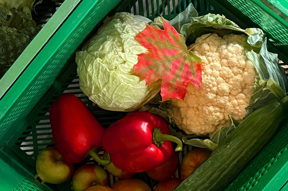 KI generiert: Das Bild zeigt eine Auswahl an Wurzelgemüsen, darunter lila Karotten, Pastinaken und eine Steckrübe, auf einem Holztisch arrangiert.