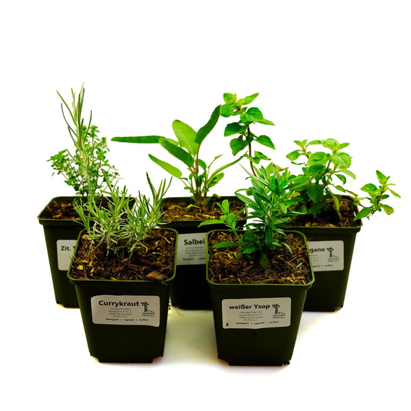 Produktfoto zu Grillkräuterpaket 6 Bienenfreunde