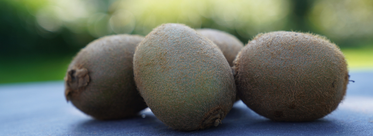 Warenkunde Obst und Gemüse in der Ökokiste