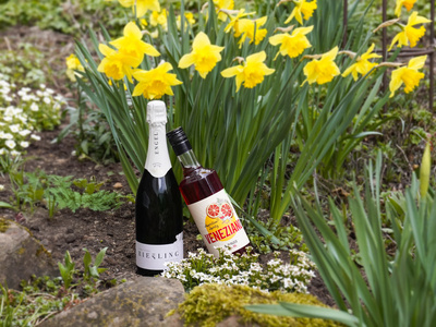 KI generiert: Das Bild zeigt eine Weinflasche mit der Aufschrift "Schönhals Samt & Seide" auf einer hölzernen Treppe, die von einem grauen Stoff umgeben ist. Der Fokus liegt auf der Weinflasche.