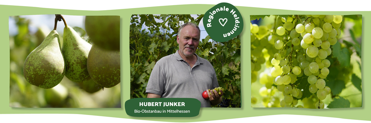 Hubert Junker